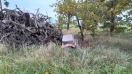 Foto: Couch in Wald 
